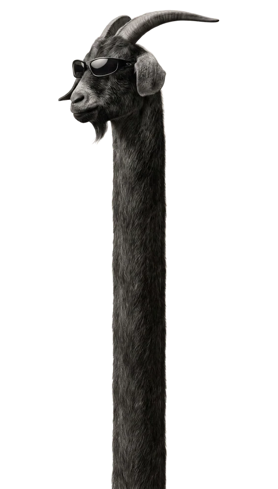 A goat wearing black sunglasses and a hoodie, its neck stretching down the page
